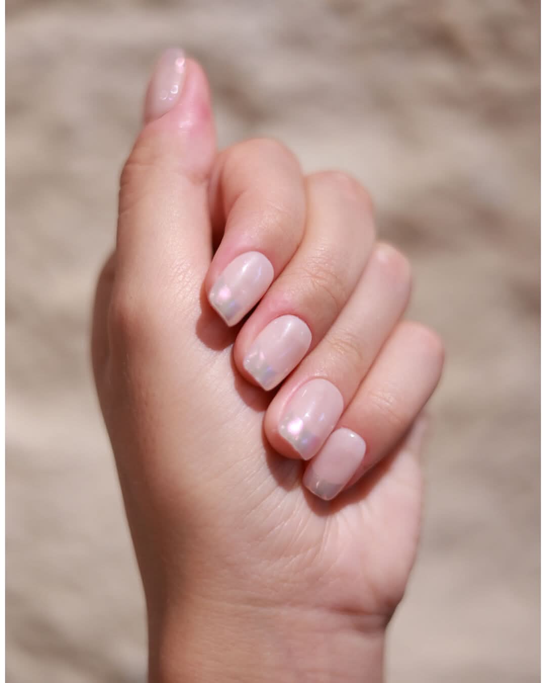 Seanaily Shell French press on nails